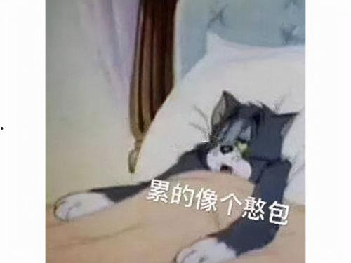 网红吃瓜老太太是谁啊,揭秘网红“吃瓜老太太”的真实身份 第3张 网红吃瓜老太太是谁啊,揭秘网红“吃瓜老太太”的真实身份 第3张